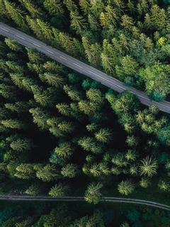 Download wallpaper 240x320 forest, aerial view, road, spruce, machine ...
