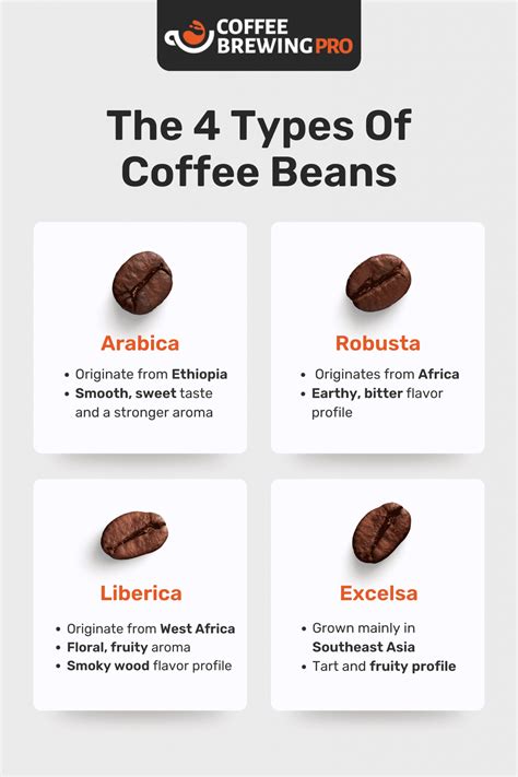 Differences In Coffee Types at Adam Winland blog