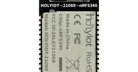 Buy Holyiot-21069-nRF5340 Nordic nRF5340 SoC Based Bluetooth 5.0 Module ...