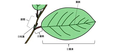 Visual Basic Tutorial Excel 的图像结果