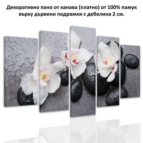 Online set of 5 pieces Zen composition with orchids