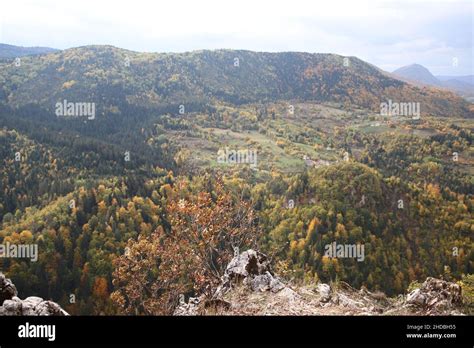 Beautiful Countryside 的图像结果