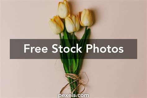 Conic Sections Real Life 的图像结果