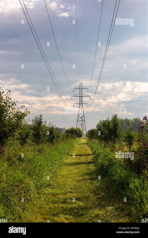 Electricity Power Lines 的图像结果