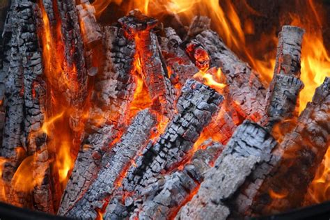 Image result for Long Log Fire