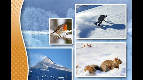 Image result for Collagerator Tutorial