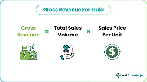 Gross Revenue - Meaning, Vs Net Revenue & Example