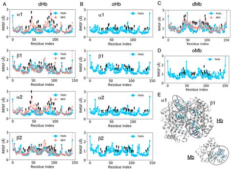 Analysis of Fluctuation in the Heme-Binding Pocket and Heme Distortion ...