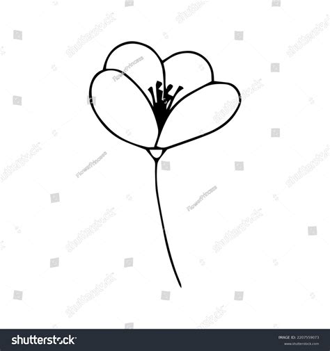 Simple One Line Drawing 的图像结果