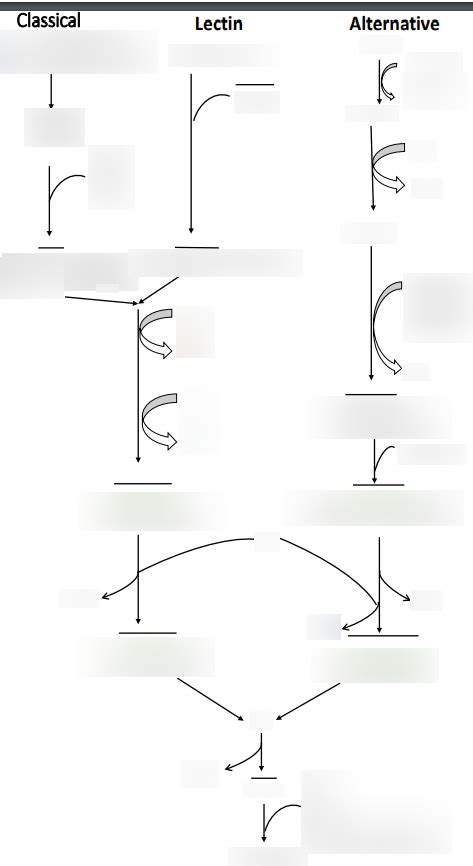 Image result for Subject Complement Diagram