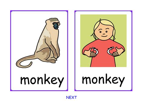 Monkeys Learning Sign Language 的图像结果