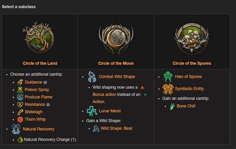 How to Level the Best Druid Build in BG3? - Yaninagames