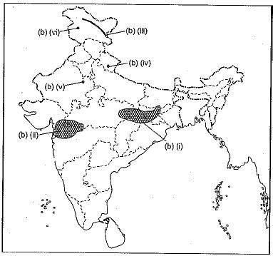 Class 9 SST: Sample Question Paper- 6 (With Solutions) PDF Download