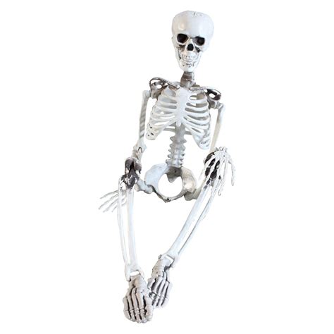 Buy Halloween Skeleton Prop Deco Halloween Skeleton Life Size Full Body ...