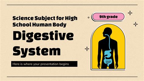 Image result for Digestive System Slides