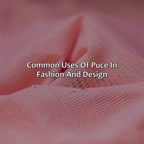 What Color Is Puce - colorscombo.com