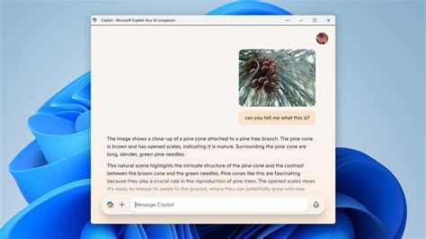 How Does Co-Pilot Work 的图像结果