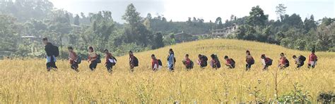 Awake & Shine Primary Schools - Experiential Learning