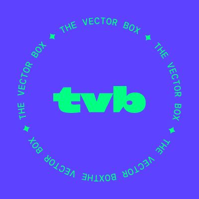 Vector Box 的图像结果