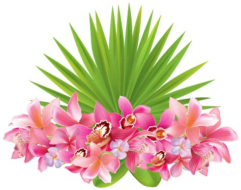 Tropical Flower Images Clipart at James Goldsbrough blog