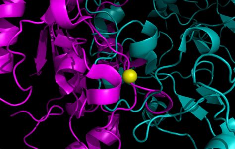 Image result for CWC DNA