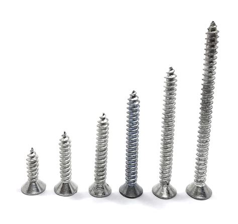 Zua Truphe 1 1/4 inch Philips Bugle Head self Tapping Screw - Star Slot ...