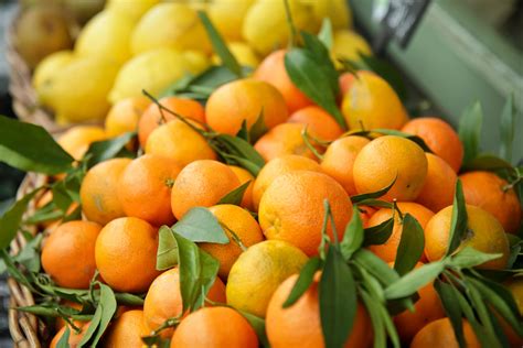 Oranges And Lemons Explained at Jennifer Vidal blog