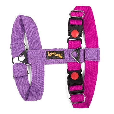Buy Let's Wag Training and Safety Dual Clip Designed H Harness for Dogs ...