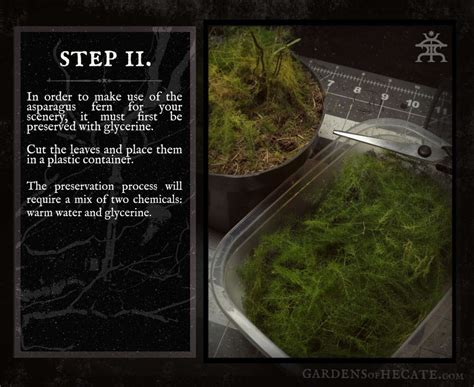 Image result for Tutorial On Creating Pine Trees