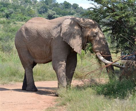 CASHAN AFRICA TOURS & SAFARIS (2026) All You Need to Know BEFORE You Go ...