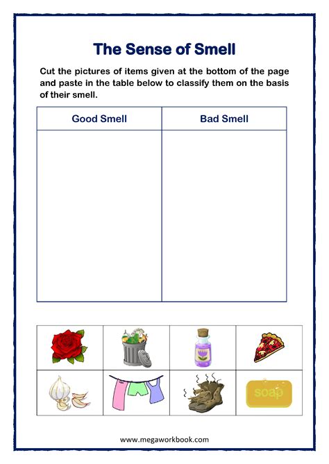 Five Senses Worksheets For Preschool And Kindergarten - MegaWorkbook ...