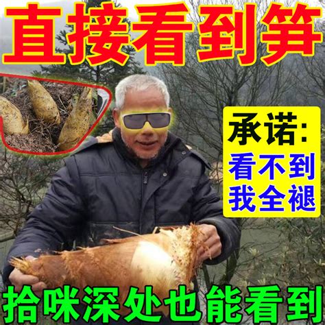 夺笋啊！游客在北京紫竹院公园私挖竹笋，罚50元-搜狐大视野-搜狐新闻