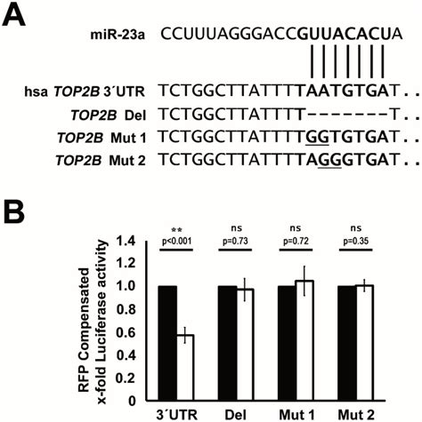 Increased Expression of Micro-RNA-23a Mediates Chemoresistance to ...