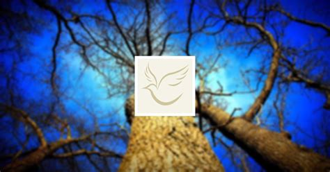 Obituary | Donald James Kammerer | Heer Mortuary & Crematory