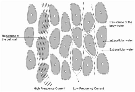 Image result for Phase Angle Explained