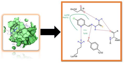 Pharmaceuticals | Special Issue : Design of Enzyme Inhibitors as ...