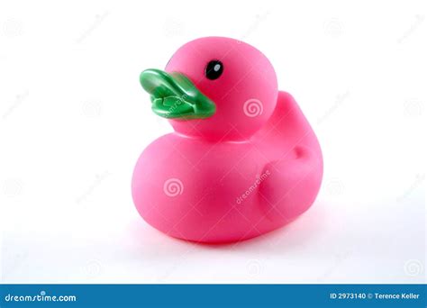 Pink Rubber Duck stock photo. Image of floating, play - 2973140