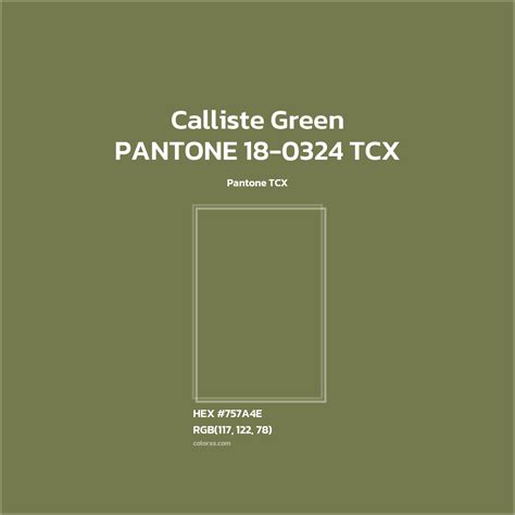 About PANTONE 18-0324 TCX - Calliste Green Color - Color codes ...