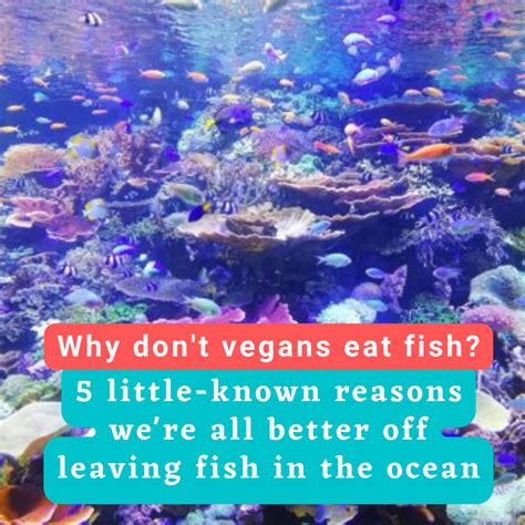 Do Vegans Eat Fish Or Chicken at Cassandra Edwards blog