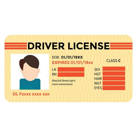 Editable Drivers License Template Free - Templates Printable