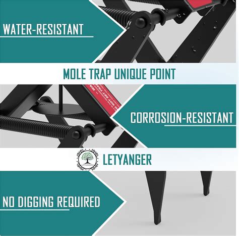 LETYANGER Mole Traps, Black Galvanized Steel Scissor Trap, India | Ubuy