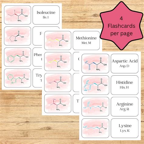 Printable Amino Acids Flashcards - Instant Download for Biochemistry ...