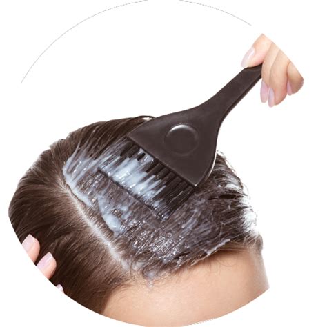 Sesa Permanent Hair Color - Black – Sesa Care