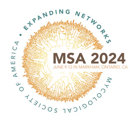 Image result for What Is MSA Program