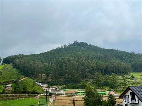 A wonderful workation - Review of Global Village Ooty, Ooty ...