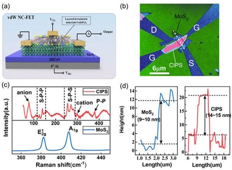 Low-Power OR Logic Ferroelectric In-Situ Transistor Based on a CuInP2S6 ...