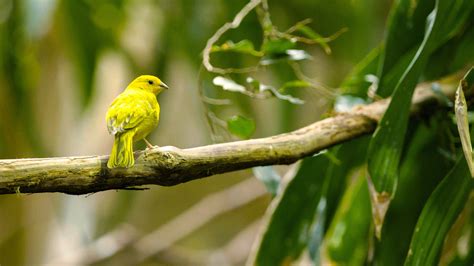 Image result for What Is General Science