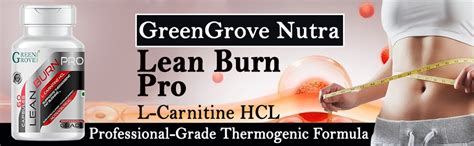 GreenGrove Nutra Lean Burn Pro Supreme Formula - L-Carnitine HCL Fat ...