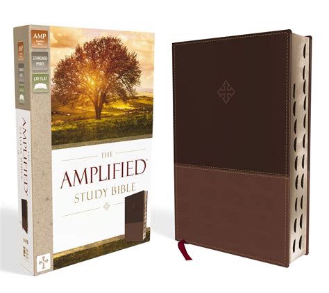 The Amplified Study Bible, Leathersoft, Brown, Thumb Indexed: Zondervan ...