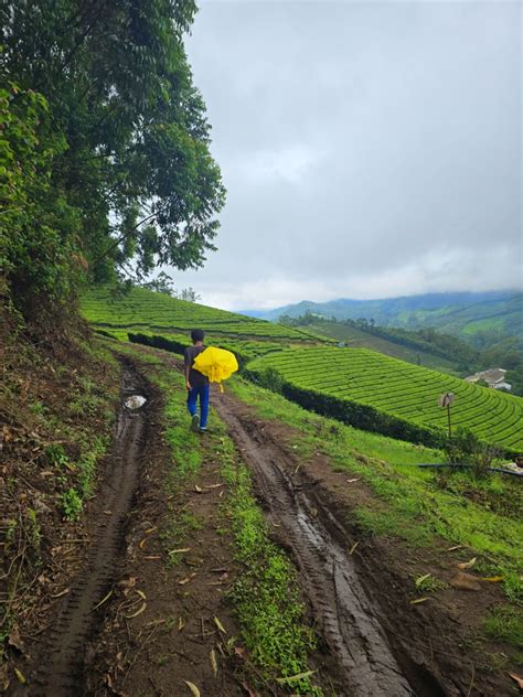 Road Trip from Cochin to Munnar in June for the Monsoon Vibes – Love ...